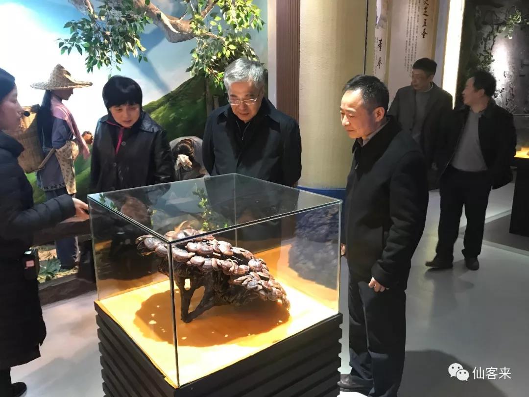 中國靈芝十大品牌|仙客來靈芝|仙客來靈芝破壁孢子粉|仙客來孢子油|仙客來靈芝飲片|仙客來破壁孢子粉|仙客來靈芝中藥飲片|馳名商標|www.kingscourtnursery.com|