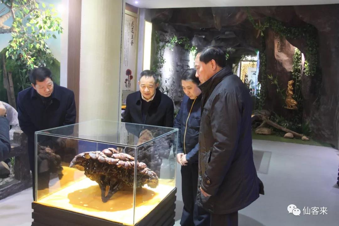 中國靈芝十大品牌|仙客來靈芝|仙客來靈芝破壁孢子粉|仙客來孢子油|仙客來靈芝飲片|仙客來破壁孢子粉|仙客來靈芝中藥飲片|馳名商標|www.kingscourtnursery.com|