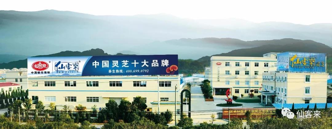 中國靈芝十大品牌|仙客來靈芝|仙客來靈芝破壁孢子粉|仙客來孢子油|仙客來靈芝飲片|仙客來破壁孢子粉|仙客來靈芝中藥飲片|馳名商標|www.kingscourtnursery.com|