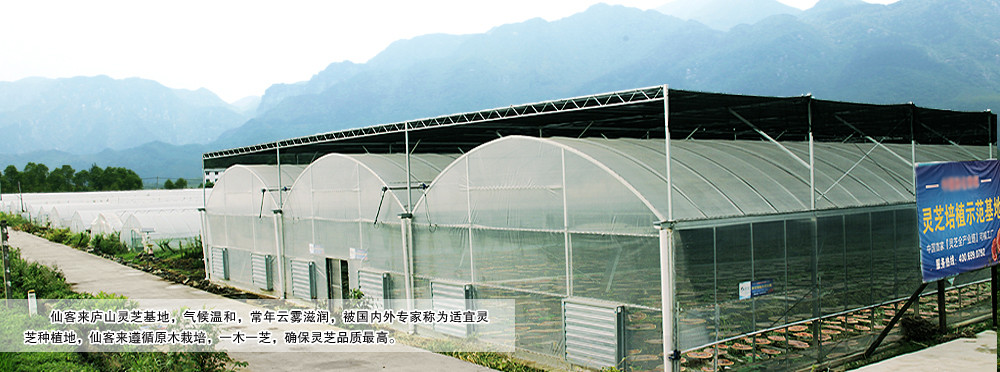 中國靈芝十大品牌|仙客來靈芝|仙客來靈芝破壁孢子粉|仙客來孢子油|仙客來靈芝飲片|仙客來破壁孢子粉|仙客來靈芝中藥飲片|馳名商標(biāo)|www.kingscourtnursery.com|