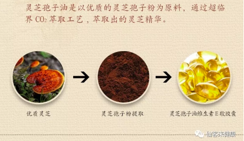 中國靈芝十大品牌|仙客來靈芝|仙客來靈芝破壁孢子粉|仙客來孢子油|仙客來靈芝飲片|仙客來破壁孢子粉|仙客來靈芝中藥飲片|馳名商標|www.kingscourtnursery.com|