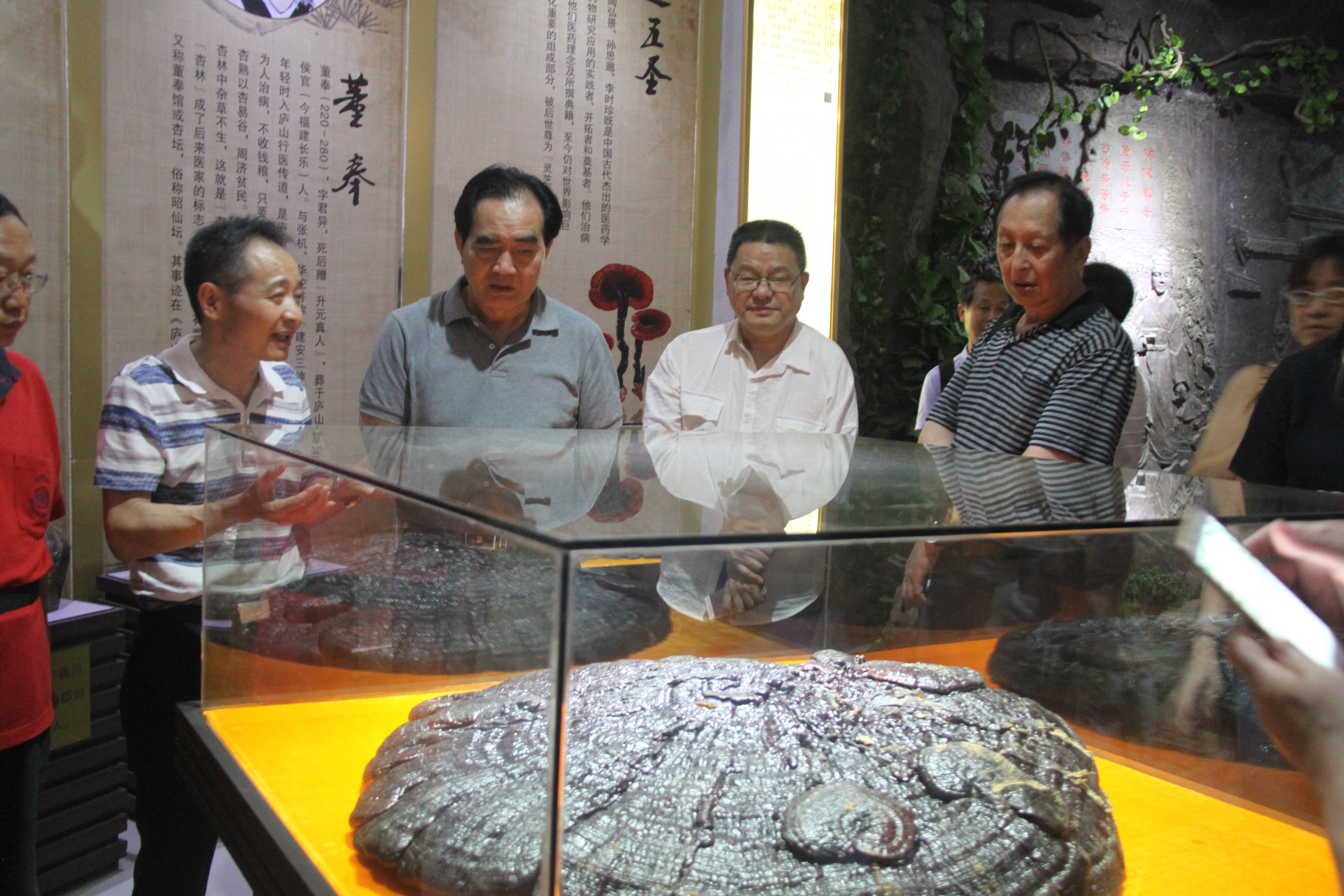 中國靈芝十大品牌|仙客來靈芝|仙客來靈芝破壁孢子粉|仙客來孢子油|仙客來靈芝飲片|仙客來破壁孢子粉|仙客來靈芝中藥飲片|馳名商標|www.kingscourtnursery.com|