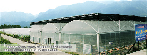 中國靈芝十大品牌|仙客來靈芝|仙客來靈芝破壁孢子粉|仙客來孢子油|仙客來靈芝飲片|仙客來破壁孢子粉|仙客來靈芝中藥飲片|馳名商標(biāo)|www.kingscourtnursery.com|
