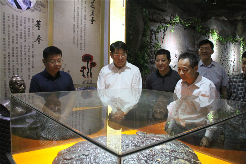 中國靈芝十大品牌|仙客來靈芝|仙客來靈芝破壁孢子粉|仙客來孢子油|仙客來靈芝飲片|仙客來破壁孢子粉|仙客來靈芝中藥飲片|馳名商標(biāo)|www.kingscourtnursery.com|