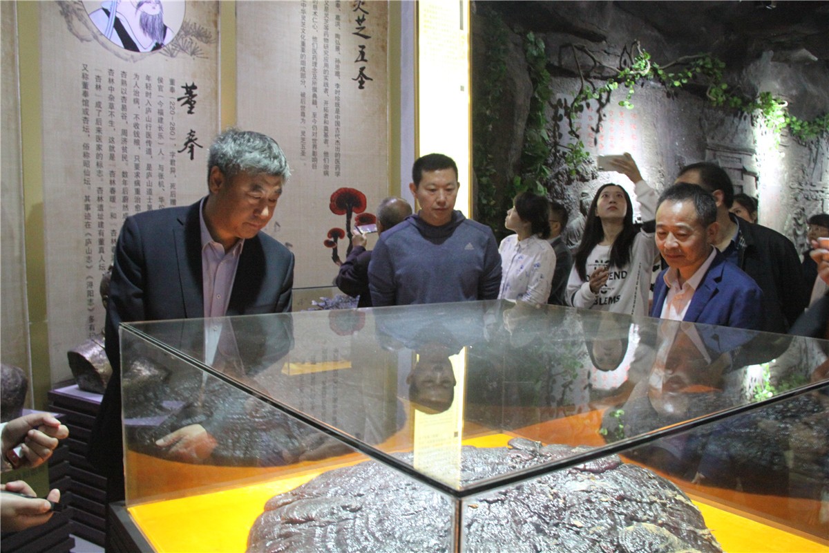 中國(guó)靈芝十大品牌|仙客來(lái)靈芝|仙客來(lái)靈芝破壁孢子粉|仙客來(lái)孢子油|仙客來(lái)靈芝飲片|仙客來(lái)破壁孢子粉|仙客來(lái)靈芝中藥飲片|馳名商標(biāo)|www.kingscourtnursery.com|