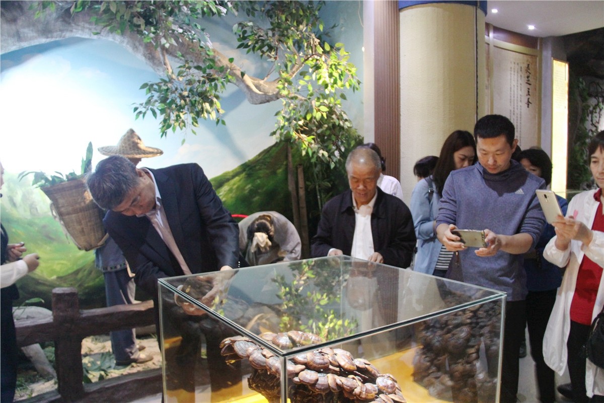 中國(guó)靈芝十大品牌|仙客來(lái)靈芝|仙客來(lái)靈芝破壁孢子粉|仙客來(lái)孢子油|仙客來(lái)靈芝飲片|仙客來(lái)破壁孢子粉|仙客來(lái)靈芝中藥飲片|馳名商標(biāo)|www.kingscourtnursery.com|