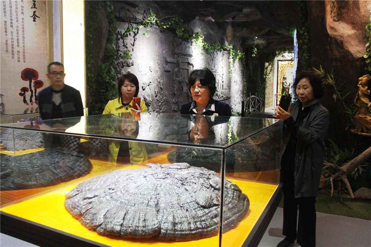 中國靈芝十大品牌|仙客來靈芝|仙客來靈芝破壁孢子粉|仙客來孢子油|仙客來靈芝飲片|仙客來破壁孢子粉|仙客來靈芝中藥飲片|馳名商標|www.kingscourtnursery.com|