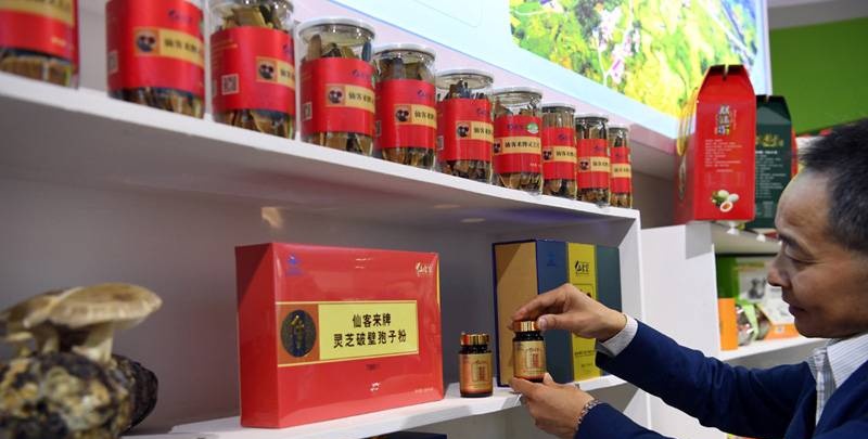 中國(guó)靈芝十大品牌|仙客來(lái)靈芝|仙客來(lái)靈芝破壁孢子粉|仙客來(lái)孢子油|仙客來(lái)靈芝飲片|仙客來(lái)破壁孢子粉|仙客來(lái)靈芝中藥飲片|馳名商標(biāo)|www.kingscourtnursery.com|
