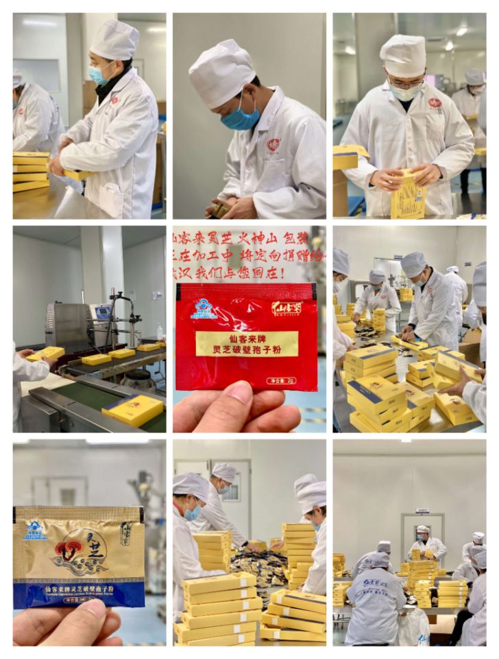 中國(guó)靈芝十大品牌|仙客來(lái)靈芝|仙客來(lái)靈芝破壁孢子粉|仙客來(lái)孢子油|仙客來(lái)靈芝飲片|仙客來(lái)破壁孢子粉|仙客來(lái)靈芝中藥飲片|馳名商標(biāo)|www.kingscourtnursery.com|