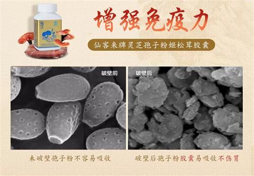 杭州亞運(yùn)會(huì)官方靈芝產(chǎn)品供應(yīng)商|杭州亞運(yùn)會(huì)官方供應(yīng)商|中國(guó)靈芝十大品牌|仙客來靈芝|仙客來靈芝破壁孢子粉|仙客來孢子油|仙客來靈芝飲片|仙客來破壁孢子粉|靈芝孢子油|孢子粉|靈芝破壁孢子粉|靈芝|中華老字號(hào)