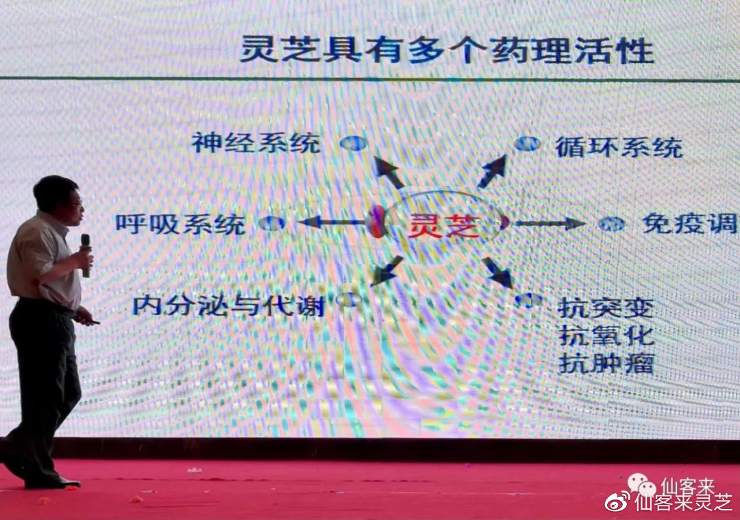 杭州亞運(yùn)會(huì)官方靈芝產(chǎn)品供應(yīng)商|杭州亞運(yùn)會(huì)官方供應(yīng)商|中國(guó)靈芝十大品牌|仙客來靈芝|仙客來靈芝破壁孢子粉|仙客來孢子油|仙客來靈芝飲片|仙客來破壁孢子粉|靈芝孢子油|孢子粉|靈芝破壁孢子粉|靈芝|中華老字號(hào)
