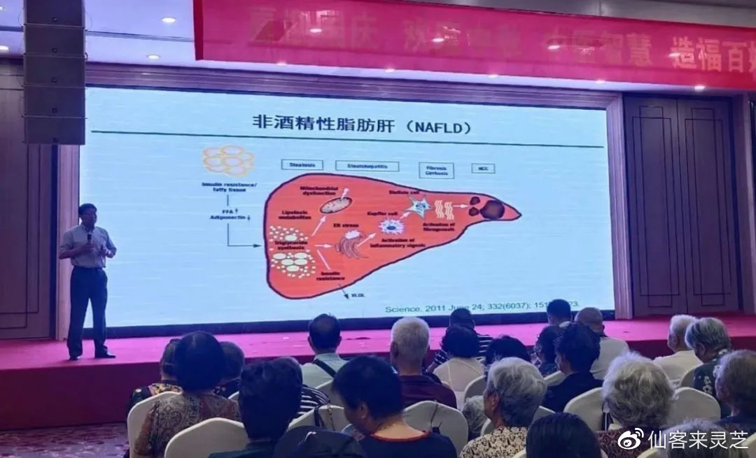 杭州亞運(yùn)會(huì)官方靈芝產(chǎn)品供應(yīng)商|杭州亞運(yùn)會(huì)官方供應(yīng)商|中國(guó)靈芝十大品牌|仙客來靈芝|仙客來靈芝破壁孢子粉|仙客來孢子油|仙客來靈芝飲片|仙客來破壁孢子粉|靈芝孢子油|孢子粉|靈芝破壁孢子粉|靈芝|中華老字號(hào)