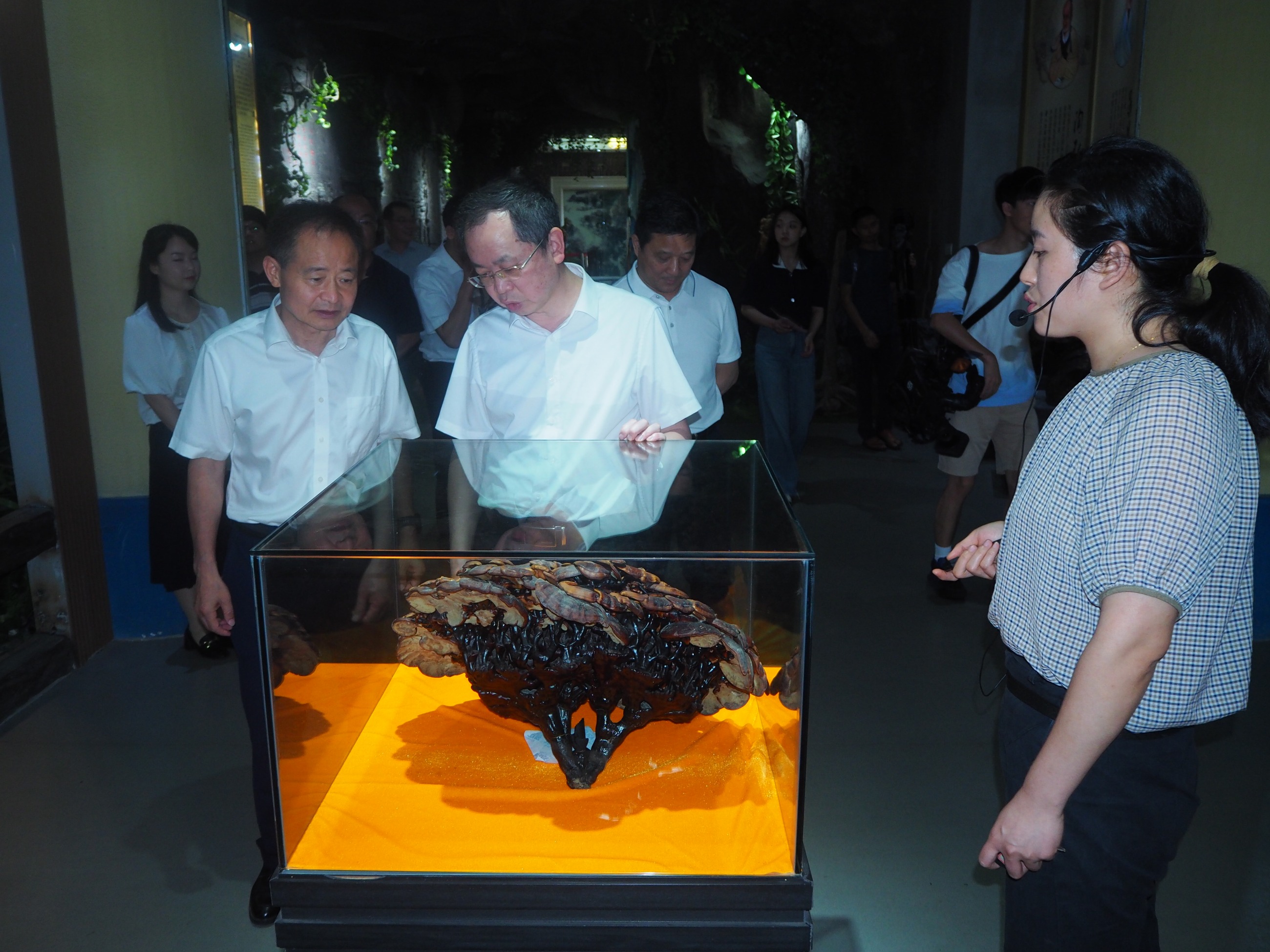 杭州亞運(yùn)會(huì)官方靈芝產(chǎn)品供應(yīng)商|杭州亞運(yùn)會(huì)官方供應(yīng)商|中國靈芝十大品牌|仙客來靈芝|仙客來靈芝破壁孢子粉|仙客來孢子油|仙客來靈芝飲片|仙客來破壁孢子粉|靈芝孢子油|孢子粉|靈芝破壁孢子粉|靈芝|中華老字號