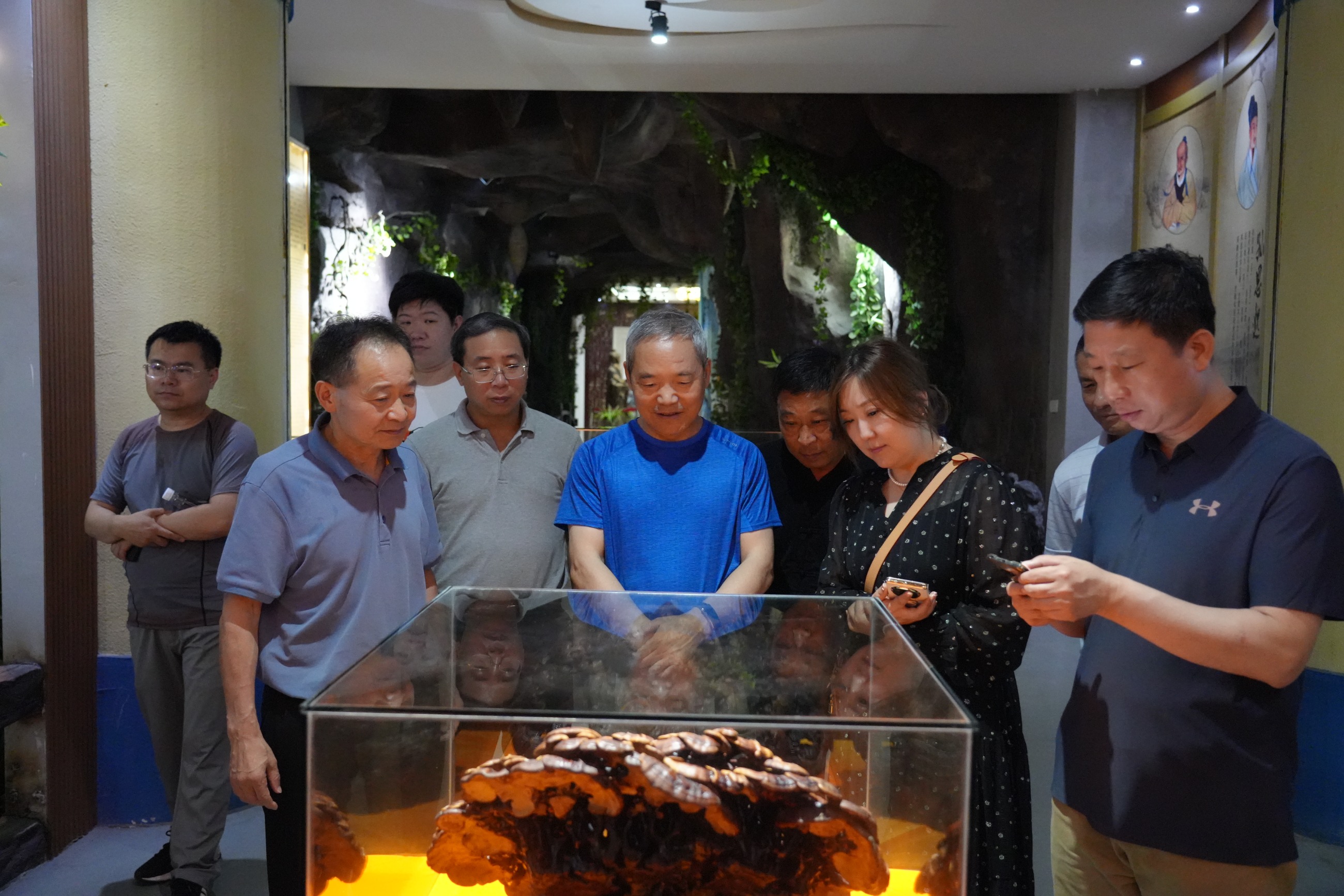 杭州亞運會官方靈芝產品供應商|杭州亞運會官方供應商|中國靈芝十大品牌|仙客來靈芝|仙客來靈芝破壁孢子粉|仙客來孢子油|仙客來靈芝飲片|仙客來破壁孢子粉|靈芝孢子油|孢子粉|靈芝破壁孢子粉|靈芝|中華老字號 杭州亞運會官方靈芝產品供應商|杭州亞運會官方供應商|中國靈芝十大品牌|仙客來靈芝|仙客來靈芝破壁孢子粉|仙客來孢子油|仙客來靈芝飲片|仙客來破壁孢子粉|靈芝孢子油|孢子粉|靈芝破壁孢子粉|靈芝|中華老字號