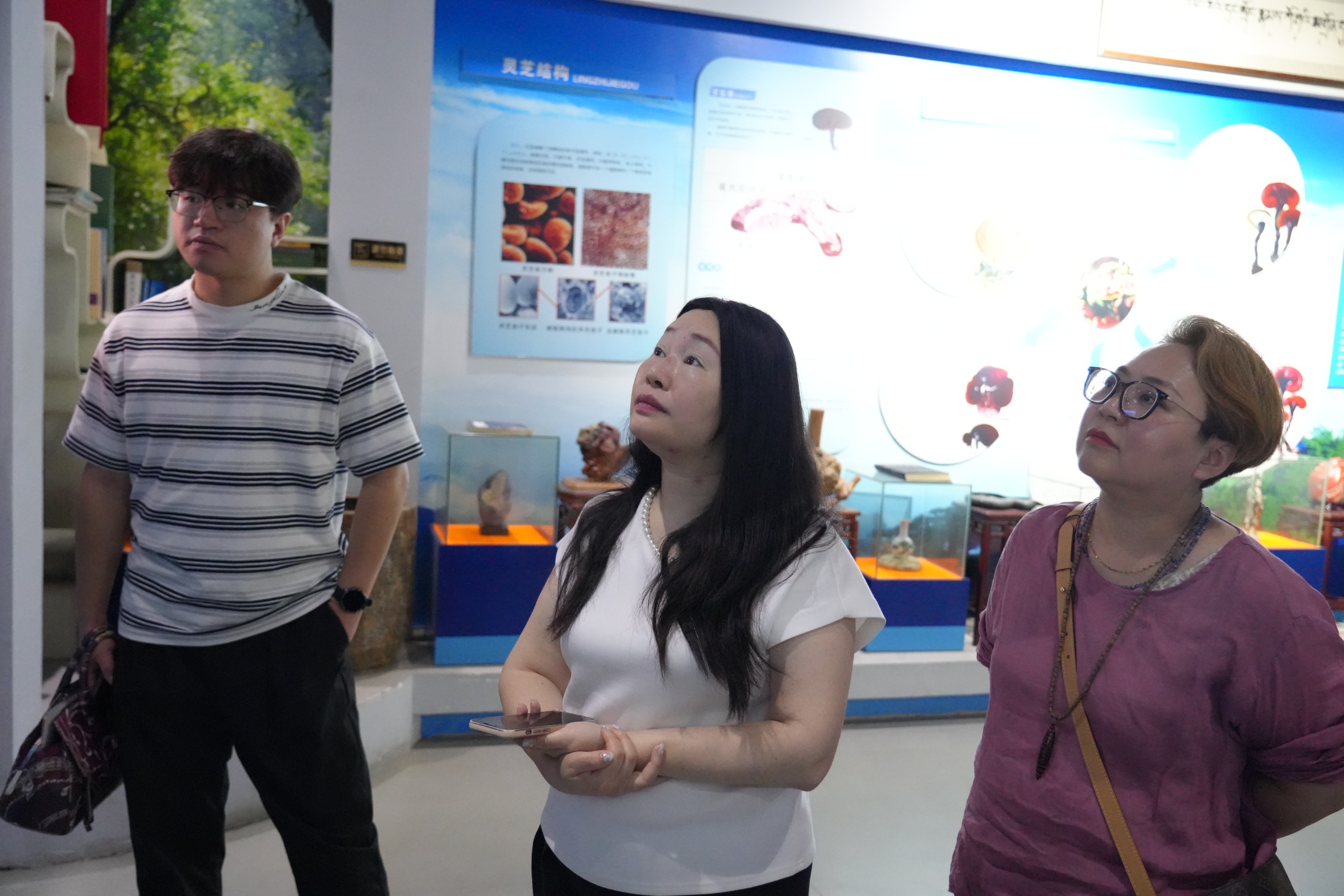 杭州亞運(yùn)會官方靈芝產(chǎn)品供應(yīng)商|杭州亞運(yùn)會官方供應(yīng)商|中國靈芝十大品牌|仙客來靈芝|仙客來靈芝破壁孢子粉|仙客來孢子油|仙客來靈芝飲片|仙客來破壁孢子粉|靈芝孢子油|孢子粉|靈芝破壁孢子粉|靈芝|中華老字號 杭州亞運(yùn)會官方靈芝產(chǎn)品供應(yīng)商|杭州亞運(yùn)會官方供應(yīng)商|中國靈芝十大品牌|仙客來靈芝|仙客來靈芝破壁孢子粉|仙客來孢子油|仙客來靈芝飲片|仙客來破壁孢子粉|靈芝孢子油|孢子粉|靈芝破壁孢子粉|靈芝|中華老字號