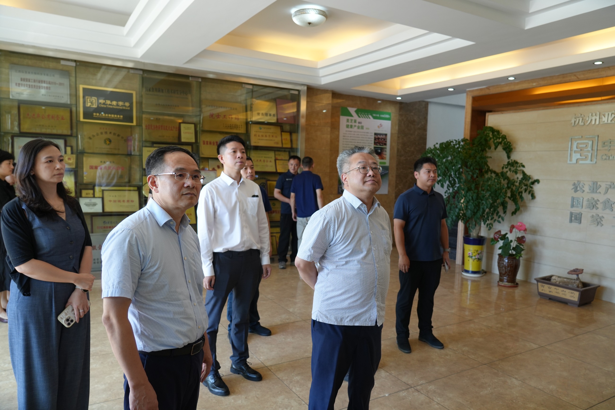 杭州亞運(yùn)會官方靈芝產(chǎn)品供應(yīng)商|杭州亞運(yùn)會官方供應(yīng)商|中國靈芝十大品牌|仙客來靈芝|仙客來靈芝破壁孢子粉|仙客來孢子油|仙客來靈芝飲片|仙客來破壁孢子粉|靈芝孢子油|孢子粉|靈芝破壁孢子粉|靈芝|中華老字號 杭州亞運(yùn)會官方靈芝產(chǎn)品供應(yīng)商|杭州亞運(yùn)會官方供應(yīng)商|中國靈芝十大品牌|仙客來靈芝|仙客來靈芝破壁孢子粉|仙客來孢子油|仙客來靈芝飲片|仙客來破壁孢子粉|靈芝孢子油|孢子粉|靈芝破壁孢子粉|靈芝|中華老字號