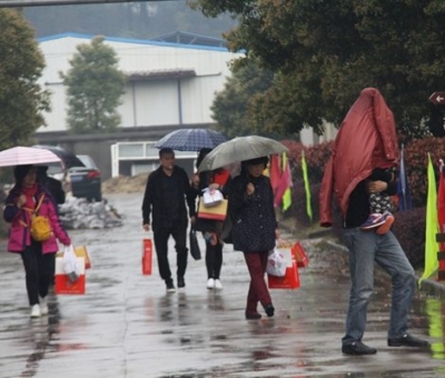 九江暴雨，仙客來(lái)“暴游”