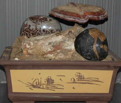 仙客來四件作品入選“首屆中國(guó)食用菌文化作品展”