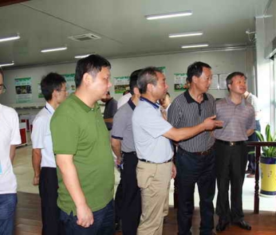 德安縣委、人大、政協(xié)領導考察仙客來公司