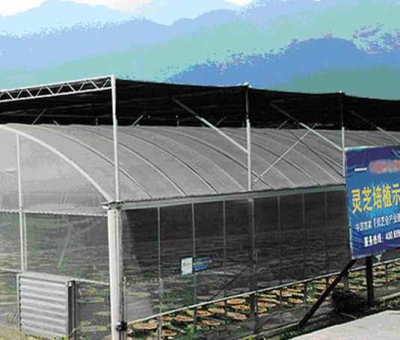 仙客來公司列入“A級納稅信用企業(yè)”