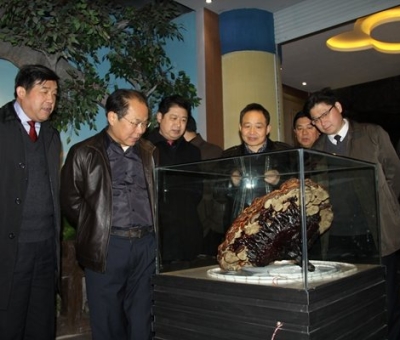 市委常委、宣傳部長潘熙寧，副市長盧天錫蒞臨仙客來公司走訪