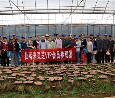 “慶國慶、賀重陽”專家義診活動在仙客來公司隆重舉行