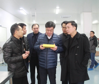 江西省檢察院黨組成員、副檢察長徐勝平一行來公司走訪調(diào)研
