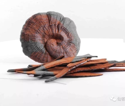 先，鮮，仙，一杯飲盡天下鮮。