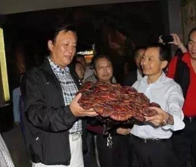 這樣過(guò)三月才是人生贏家！