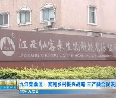 中國人只需要“別具”，缺失了“匠心”！