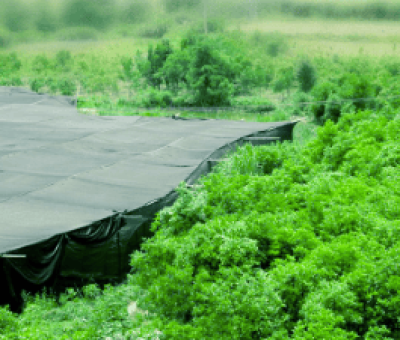 感謝廬山吧，這會(huì)是一場(chǎng)“仙旅情緣”