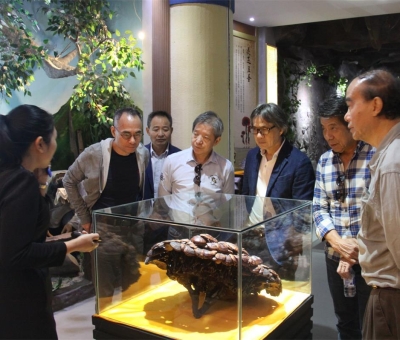 健康“良方”在這！全國(guó)政協(xié)委員、世界著名大學(xué)香港大學(xué) 榮譽(yù)院士孫少文博士蒞臨仙客來(lái)公司參觀考察