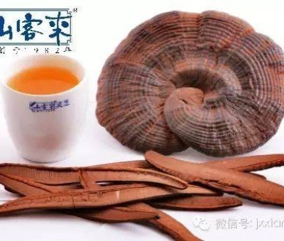 熱潮不斷！仙客來有機(jī)靈芝被點(diǎn)贊刷屏