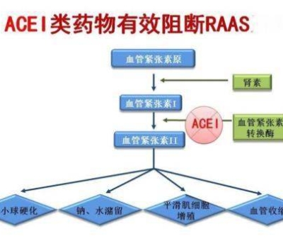 不吃藥，能降低高血壓？