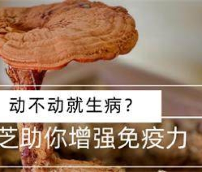 冬病夏治-如何調(diào)養(yǎng)身體？