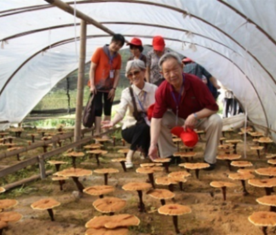 “七一勛章”獲得者張桂梅背后的故事：他們將靈芝磨成粉，送給她拌飯吃，說，吃這些能治病