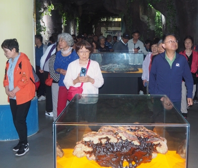 深深靈芝情！中華全國供銷合作總社再訪仙客來