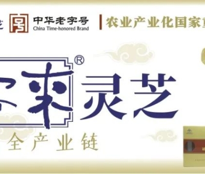 贊助商-仙客來靈芝，為健康加油